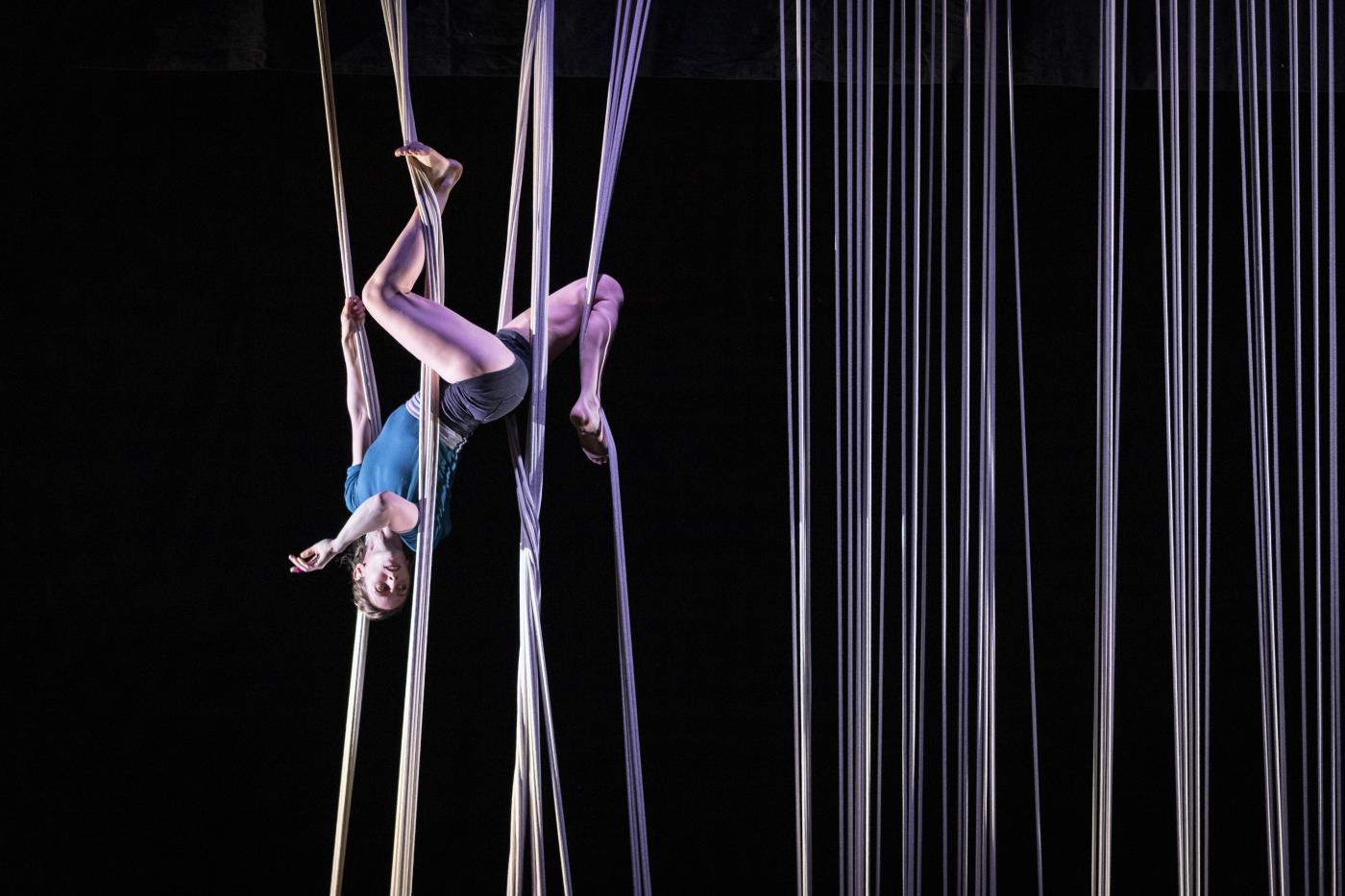 Creative rigging - © Joakim Bjöklund 